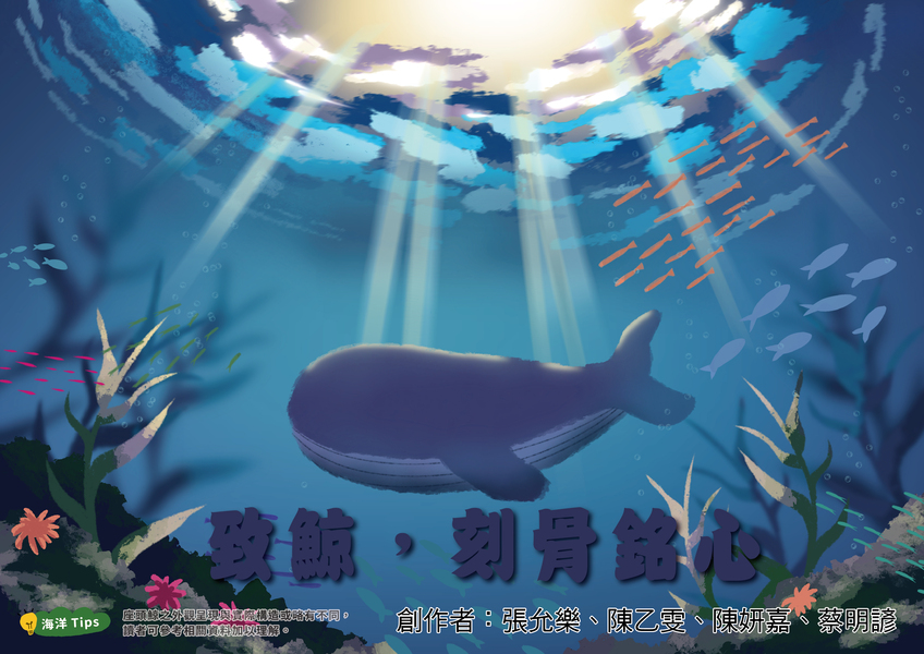 【高中組–特優】致鯨,刻骨銘心