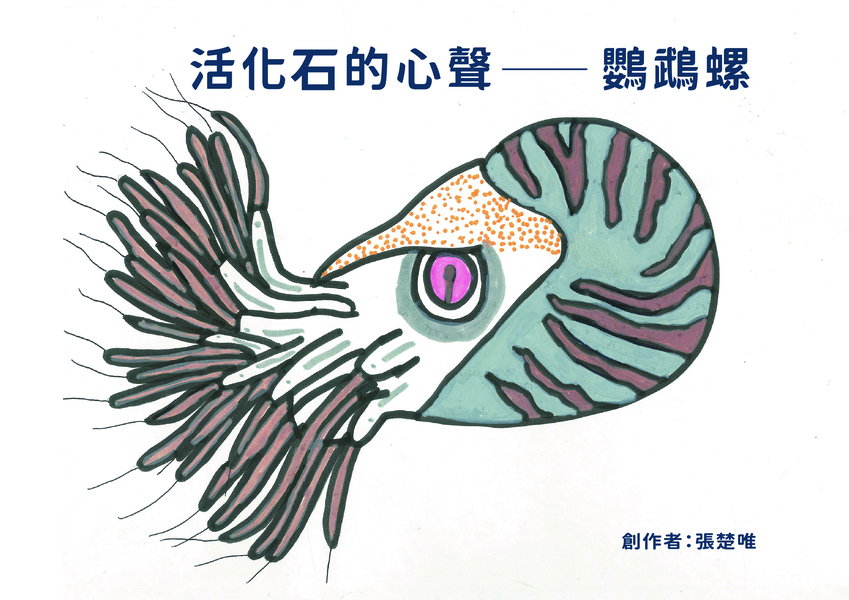 【國小組–佳作】活化石的心聲—鸚鵡螺