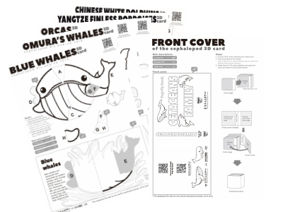 Whale and Dolphin Pop-up Cards(Coloring version)