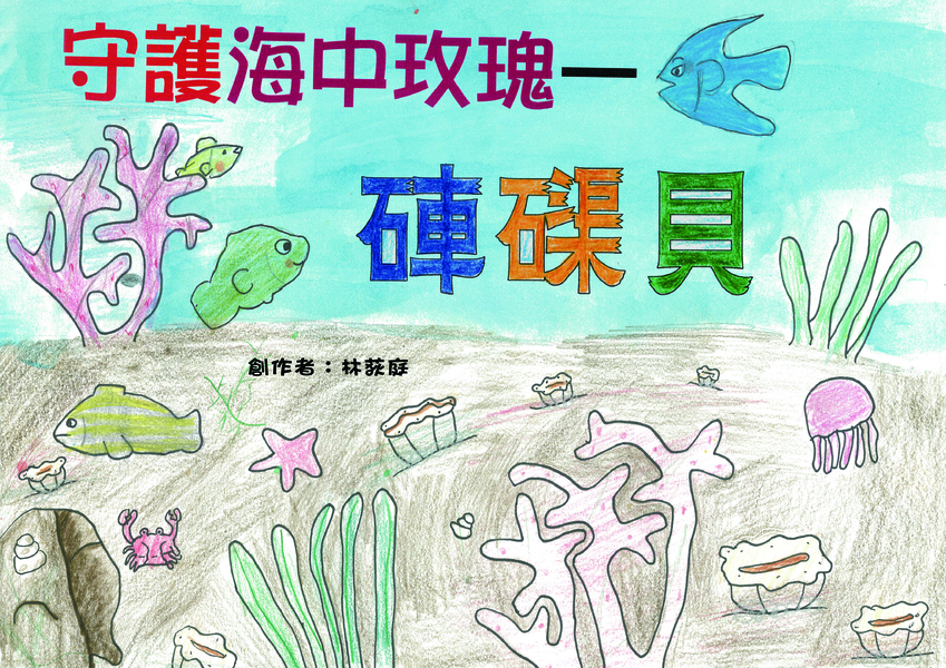 【國小組–佳作】守護海中玫瑰—硨磲貝
