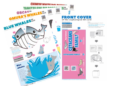 Whale and Dolphin Pop-up Cards(Colored version)